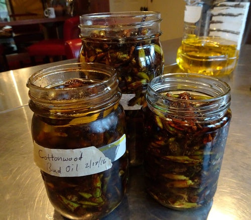 What to expect in this course